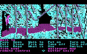 Zak McKracken and the Alien Mindbenders for IBM PC/Compatibles - Start of a jungle maze.