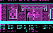 Zak McKracken and the Alien Mindbenders for IBM PC/Compatibles - Meet with the guru to learn about the crystals.