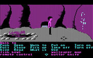 Zak McKracken and the Alien Mindbenders for IBM PC/Compatibles - Exploring a cave; what are these strange markings?
