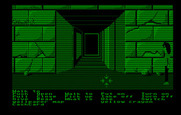 Zak McKracken and the Alien Mindbenders for IBM PC/Compatibles - Pyramid entrance...