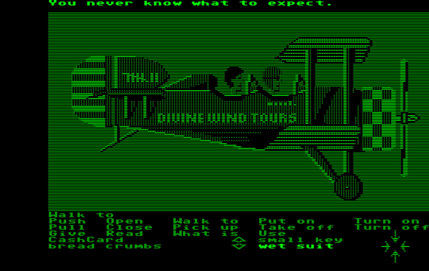 Zak McKracken and the Alien Mindbenders IBM PC/Compatibles Screenshot: Welcome to the Bermuda Triangle!