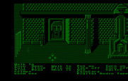 Zak McKracken and the Alien Mindbenders for IBM PC/Compatibles - The great hall...this room is huge!