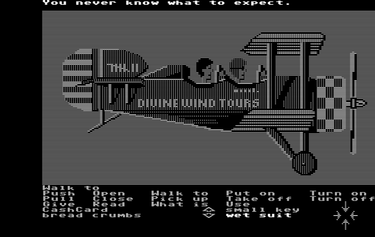 Zak McKracken and the Alien Mindbenders IBM PC/Compatibles Screenshot: Welcome to the Bermuda Triangle!