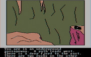 Hi-Res Adventure #4: Ulysses and the Golden Fleece for IBM PC/Compatibles - How can I get across here?