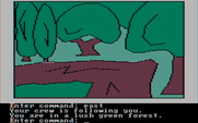 Hi-Res Adventure #4: Ulysses and the Golden Fleece for IBM PC/Compatibles - Exploring the forest...