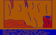 Hi-Res Adventure #4: Ulysses and the Golden Fleece for IBM PC/Compatibles - How do I get across here?