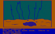 Hi-Res Adventure #4: Ulysses and the Golden Fleece for IBM PC/Compatibles - Hmm, a spring is here.