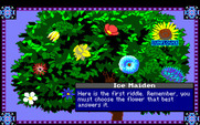 Conquests of Camelot: The Search for the Grail for Amiga - You'll need to pass one of many tests here...