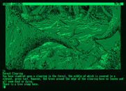 Pawn, The for Amstrad PCW - A forest clearing...