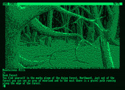 Pawn, The for Amstrad PCW - A gloomy forest!