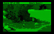 Roberta Williams' King's Quest I: Quest for the Crown for IBM PC/Compatibles - Who is this I found in the middle of the forest?