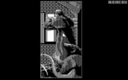 Rise of the Dragon for IBM PC/Compatibles - The rats here are huge!