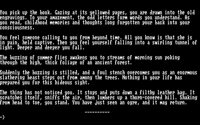 Forbidden Castle IBM PC/Compatibles Screenshot: The game begins here.