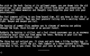 Forbidden Castle for IBM PC/Compatibles - The game begins here.
