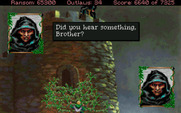 Conquests of the Longbow: The Legend of Robin Hood for IBM PC/Compatibles - Don't get caught by the guards!