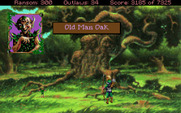 Conquests of the Longbow: The Legend of Robin Hood for IBM PC/Compatibles - Visit Old Man Oak for a challenge that earns you something useful...
