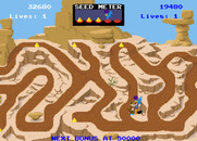 Road Runner for Arcade - The road runner is caught!