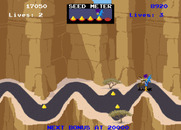 Road Runner for Arcade - The coyote catches the road runner!