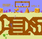 Road Runner for NES / Famicom - Make sure you keep the road runner fed, don't skip too many bird seeds!