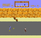 Road Runner for NES / Famicom - Avoid the falling rocks here...