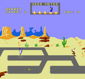Road Runner for NES / Famicom - This level has a lot of dead ends, but careful!