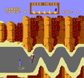 Road Runner for NES / Famicom - Make sure you don't miss eating the bird seed!