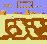 Road Runner for NES / Famicom - Running through the maze...