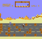 Road Runner for NES / Famicom - Avoid the mud puddles, they slow you down.