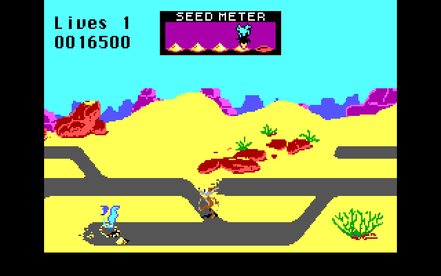 Road Runner IBM PC/Compatibles Screenshot: Oops, a dead end!