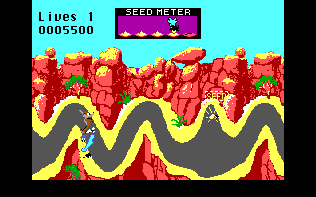 Road Runner IBM PC/Compatibles Screenshot: The path can often be narrow.
