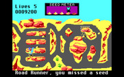 Road Runner for IBM PC/Compatibles - Don't miss too much bird seed.