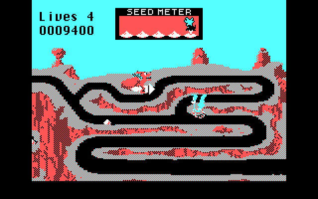 Road Runner IBM PC/Compatibles Screenshot: The road becomes maze-like at this point...