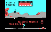 Road Runner for IBM PC/Compatibles - The game begins.