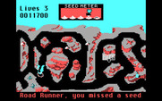 Road Runner for IBM PC/Compatibles - Don't miss too many bird seeds.
