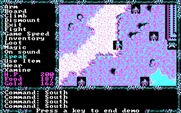 Questron II for IBM PC/Compatibles - Exploring a town.
