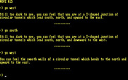 Indiana Jones in Revenge of the Ancients for IBM PC/Compatibles - Now I'm really lost!