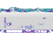Bob Winner for IBM PC/Compatibles - Watch out for bugs and other dangers in the swamp!