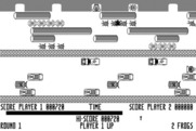 Frogger for Macintosh - Catch the fly for bonus points.