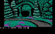 Sorcerer of Claymorgue Castle for IBM PC/Compatibles - In a cavern...what should I do from here?