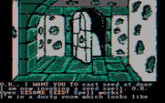 Sorcerer of Claymorgue Castle for IBM PC/Compatibles - Opened the door...should I enter?