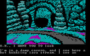 Sorcerer of Claymorgue Castle for IBM PC/Compatibles - An underground cavern.