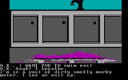 Sorcerer of Claymorgue Castle for IBM PC/Compatibles - Emerging from the murky water.