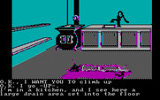 Sorcerer of Claymorgue Castle for IBM PC/Compatibles - In a kitchen...