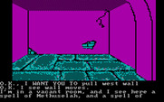 Sorcerer of Claymorgue Castle for IBM PC/Compatibles - A secret passage.