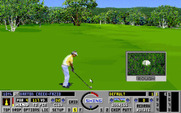 Links: Championship Course - Barton Creek for IBM PC/Compatibles - In the rough on the 10th hole.