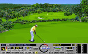 Links: Championship Course - Barton Creek for IBM PC/Compatibles - Teeing off on the third hole.