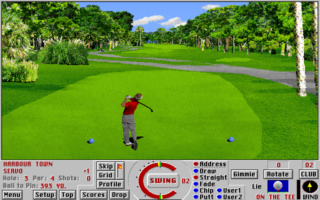 Links 386 Pro IBM PC/Compatibles Screenshot: My shot looks pretty good...