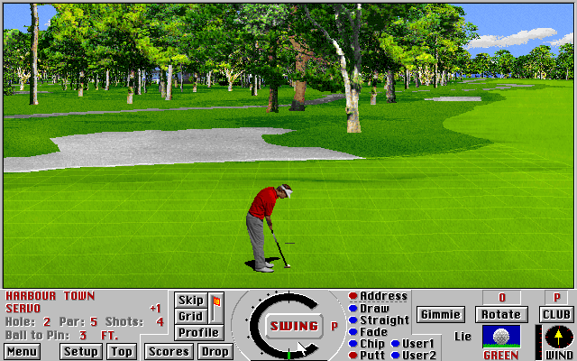 Links 386 Pro IBM PC/Compatibles Screenshot: Putting...
