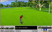 Links 386 Pro for IBM PC/Compatibles - My ball is in play!