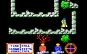 Feud for IBM PC/Compatibles - A dead end!